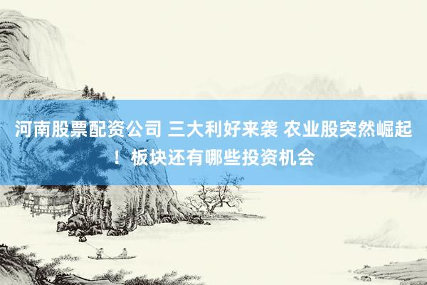 河南股票配资公司 三大利好来袭 农业股突然崛起！板块还有哪些投资机会