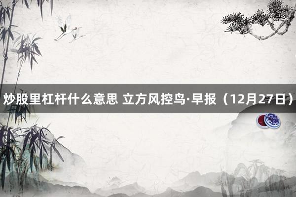 炒股里杠杆什么意思 立方风控鸟·早报（12月27日）