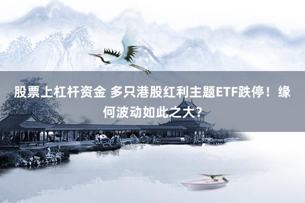 股票上杠杆资金 多只港股红利主题ETF跌停！缘何波动如此之大？
