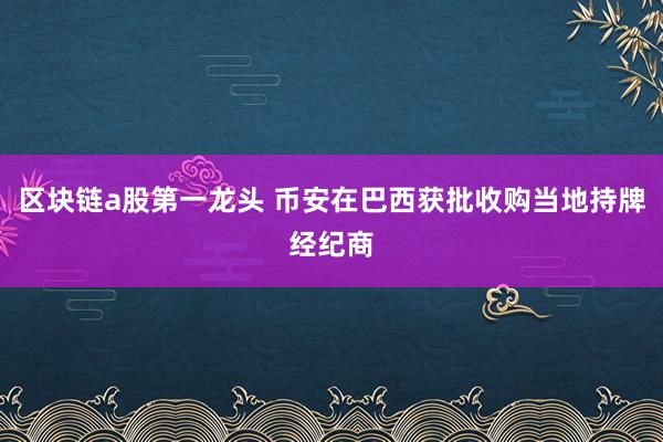 区块链a股第一龙头 币安在巴西获批收购当地持牌经纪商