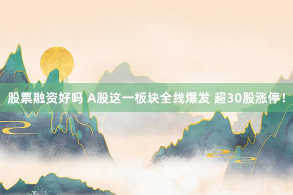 股票融资好吗 A股这一板块全线爆发 超30股涨停！