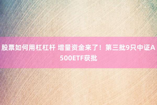 股票如何用杠杠杆 增量资金来了！第三批9只中证A500ETF获批