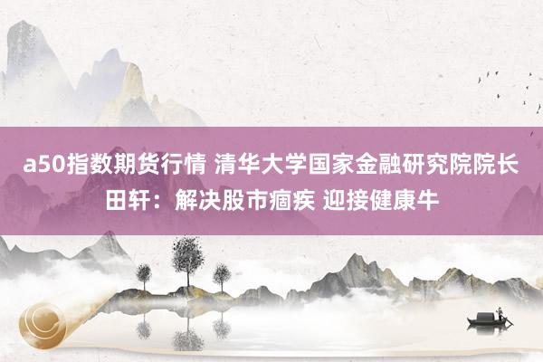 a50指数期货行情 清华大学国家金融研究院院长田轩：解决股市痼疾 迎接健康牛