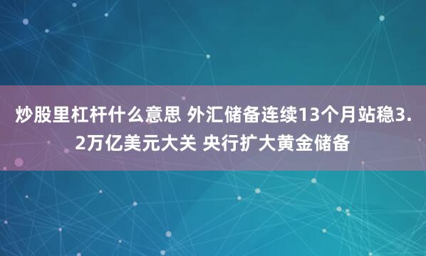 炒股里杠杆什么意思 外汇储备连续13个月站稳3.2万亿美元大关 央行扩大黄金储备