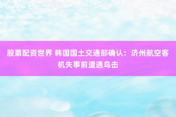股票配资世界 韩国国土交通部确认：济州航空客机失事前遭遇鸟击