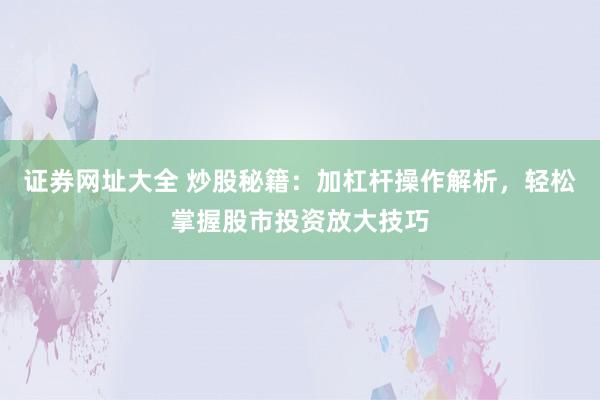 证券网址大全 炒股秘籍：加杠杆操作解析，轻松掌握股市投资放大技巧