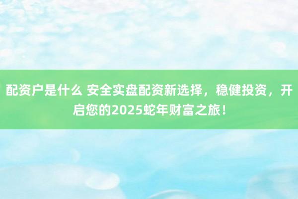 配资户是什么 安全实盘配资新选择，稳健投资，开启您的2025蛇年财富之旅！