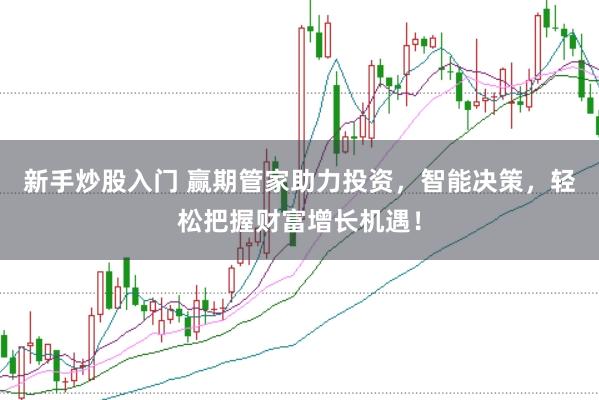 新手炒股入门 赢期管家助力投资，智能决策，轻松把握财富增长机遇！