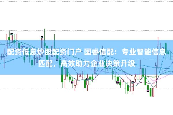 配资低息炒股配资门户 国睿信配：专业智能信息匹配，高效助力企业决策升级