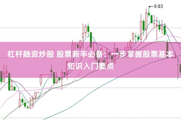 杠杆融资炒股 股票新手必备：一步掌握股票基本知识入门要点
