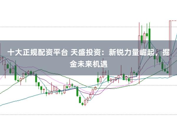 十大正规配资平台 天盛投资：新锐力量崛起，掘金未来机遇
