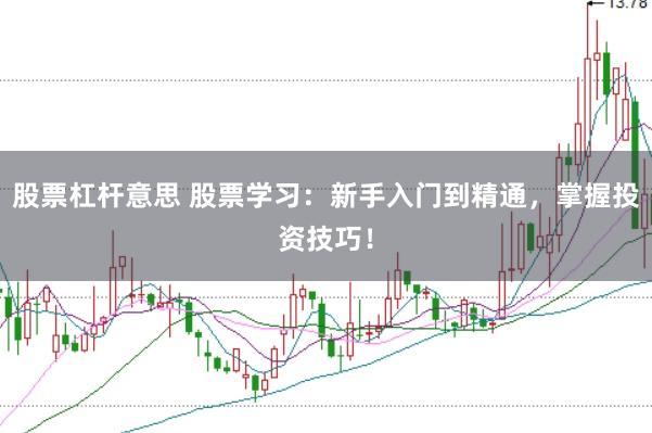 股票杠杆意思 股票学习：新手入门到精通，掌握投资技巧！