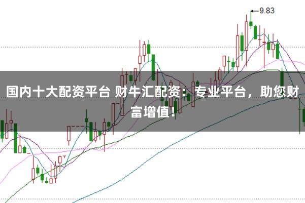 国内十大配资平台 财牛汇配资：专业平台，助您财富增值！